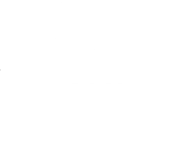 ORP Socks logo